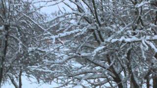 Maybe Christmas time is here? "ThomannXMas2014"