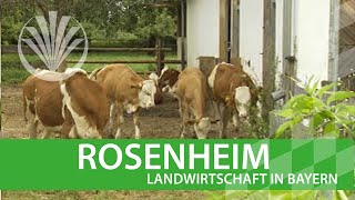 preview picture of video 'Landwirtschaft in Bayern: Landkreis Rosenheim in Oberbayern'