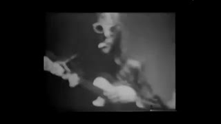Captain Beefheart And His Magic Band - Pachuco Cadaver (1969)