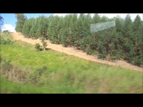 Bem vindo.......04 Julho 2014 - Familia Sergio - Gov. Valadares.