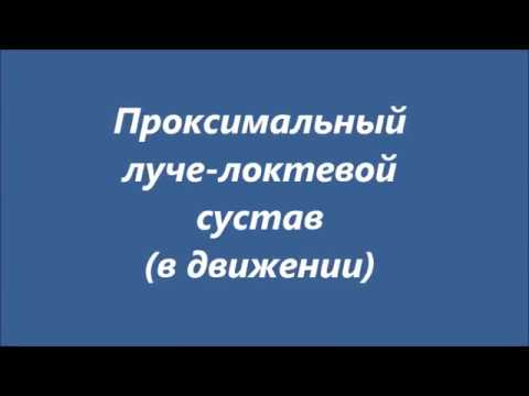 Болит права сторона поясницы Клиника доктора игнатьева комплексное лечение позвоночника