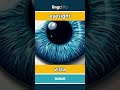 eyesight - vista video thumbnail