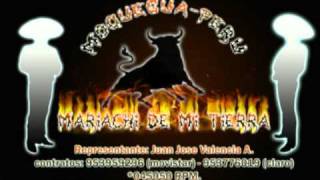 preview picture of video 'mariachi de mi tierra costumbres moquegua.mp4'