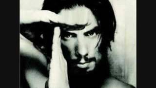 Dave Navarro - Not for Nothing