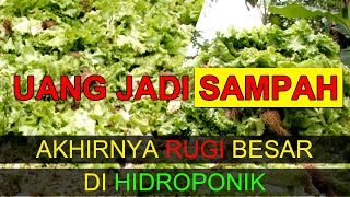 Download lagu INI BUKTI HIDROPONIK BIKIN RUGI..!!!! JANGAN BERHIDROPONIK mp3 Download lagu INI BUKTI HIDROPONIK BIKIN RUGI..!!!! JANGAN BERHIDROPONIK mp3