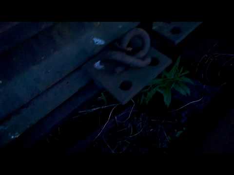 Twirly Mist - Railwaysmartphonerec (no darkness in northern nights)