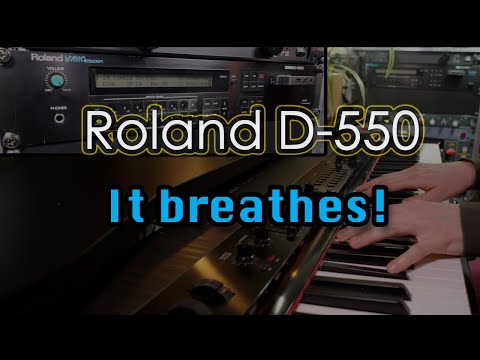 🌁 Roland D-550 (rackmount D-50) 🌁 🎧 (no talking) 🎧