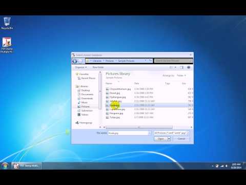 PDF Stamp Multiple Files With Image Software