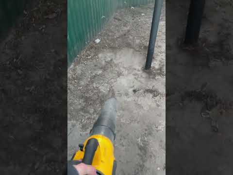 Satisfying 🤤 #youtubeshorts #satisfying #washing #street