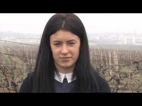 WE CHOSEN AGRICULTURE 6 Horticulture and viticulture CEVVC