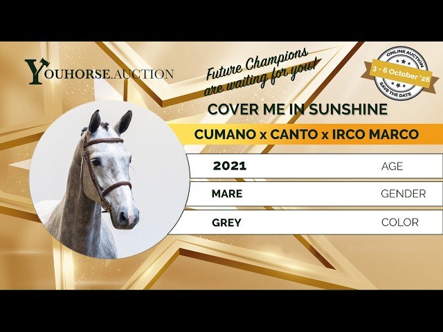 Cover me in sunshine waldstar z