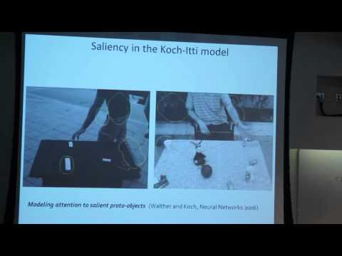 From Simple Innate Biases to Complex Visual Concepts