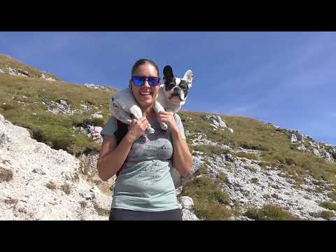 CAI Cividale - Gartnerkofel e ferrata Daumling