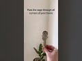 How To Sage Cleanse Your Home