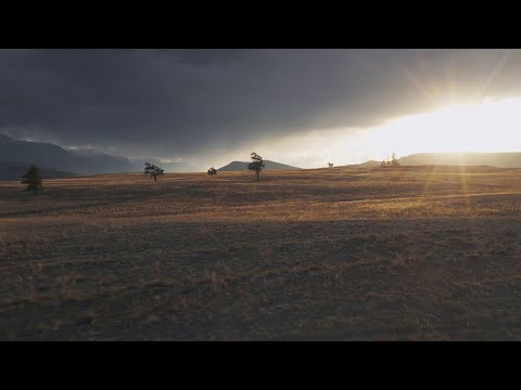 Gabriel Light | Overrun (Official Lyrics Video 2021)