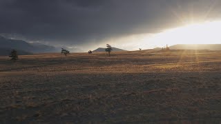 Download lagu Gabriel Light | Overrun ( Lyrics Video 2021) mp3 Download lagu Gabriel Light | Overrun ( Lyrics Video 2021) mp3