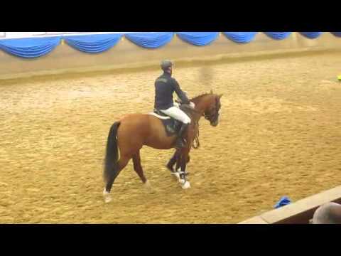 Caipirinha by Cash and Carry - Lord Z, *2013, Schwaiganger