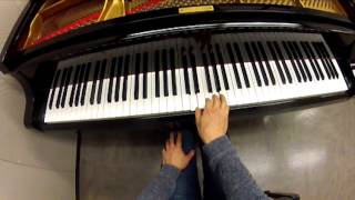 Minecraft - "Calm 2 - Clark" Played by Video Game Pianist