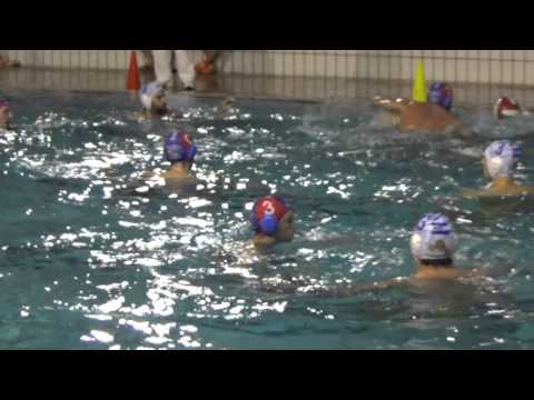 #dai una veloce - poli novate red