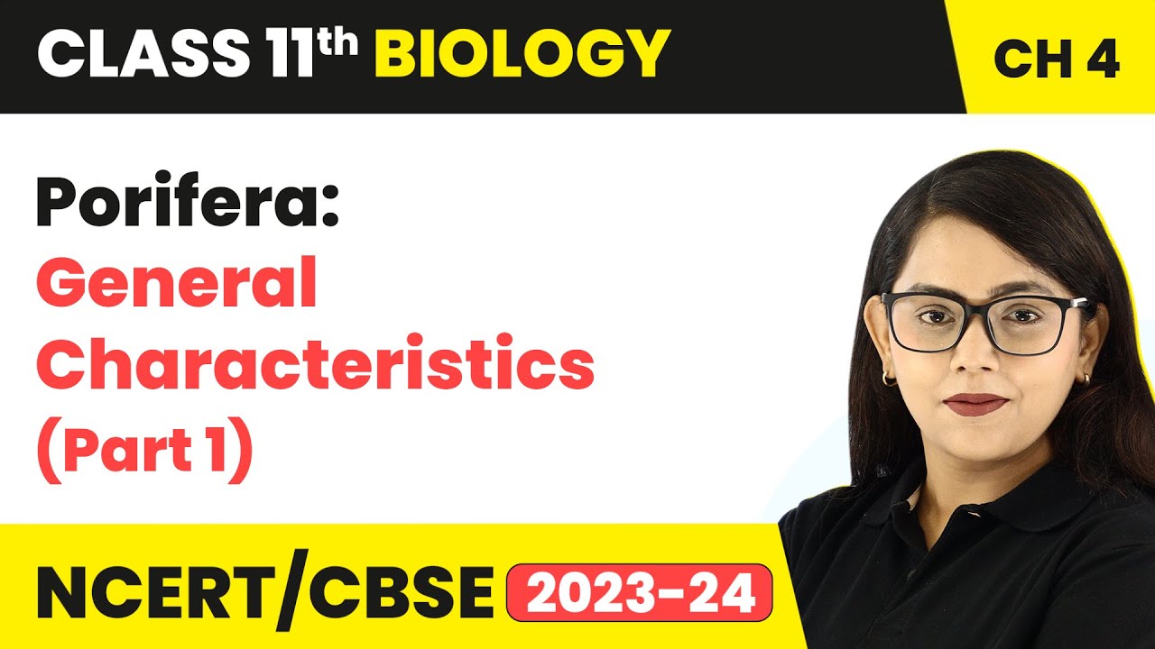 Porifera: General Characteristics (Part 1) - Animal Kingdom | Class 11 Biology Chapter 4 |NCERT/CBSE