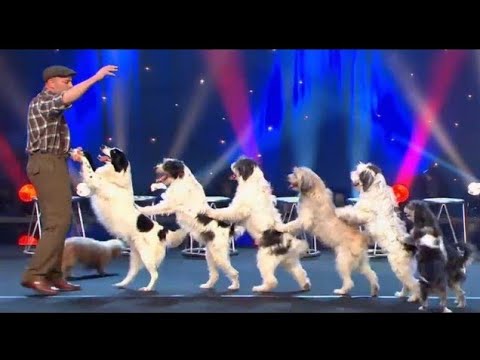 Wolfgang Lauenburger - Dressage de Chiens - Le Plus Grand Cabaret Du Monde