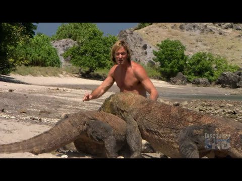 Austin Stevens - Snakemaster - In Search of The Komodo Dragon