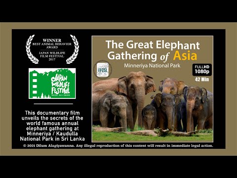 THE GREAT ELEPHANT GATHERING OF ASIA | FFCSL Documentary Films