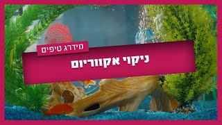 איך מנקים אקווריום? 5 שלבים שאסור לדלג עליהם