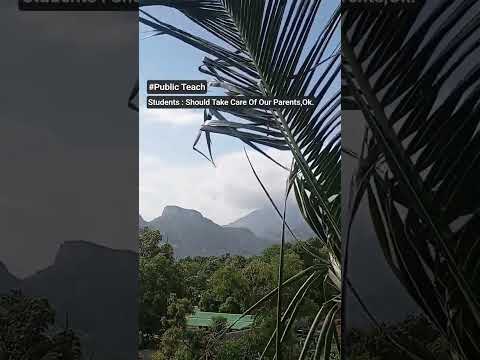 We should take care of | #trend #shorts #takecare #publicteach #546