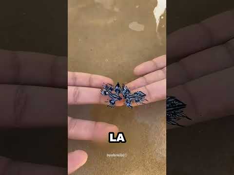 Nadie sabía lo peligrosa que era esta criatura #curiosidades #naturaleza #animales