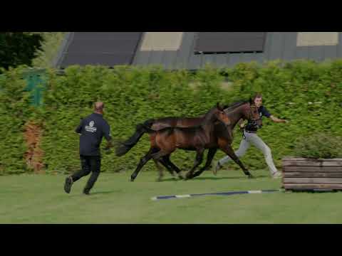 presentation day EXTERME EXTRA MB Z