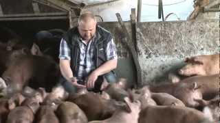 preview picture of video 'REWE-Richrath: Schweinefleisch aus der Region'