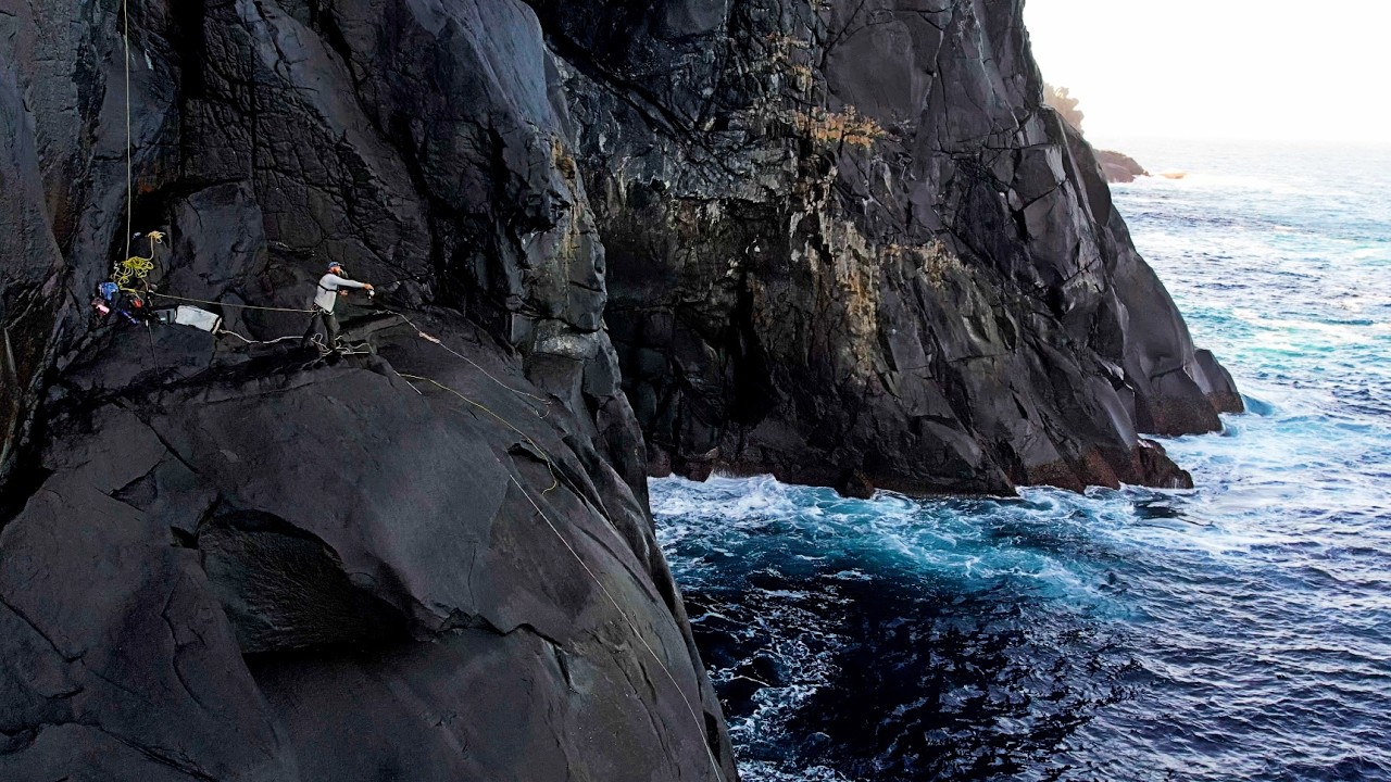 CLIFF FISHING! Catch and Cook