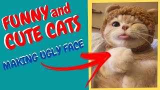 SUPER SHORTS 15 - FUNNY CATS AND CUTE