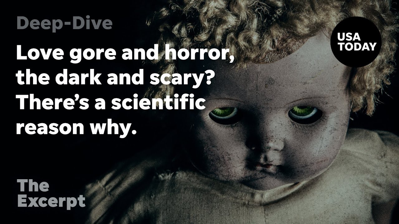Love gore and horror, the dark and scary? There’s a scientific reason why. | The Excerpt