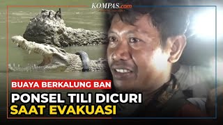 Download lagu Ponsel hingga Parang Tili Dicuri saat Evakuasi Buaya Berkalung Ban mp3 Download lagu Ponsel hingga Parang Tili Dicuri saat Evakuasi Buaya Berkalung Ban mp3