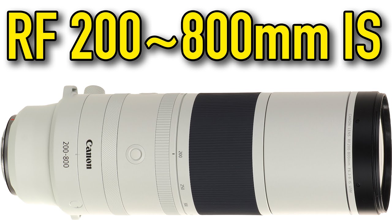 Canon RF 200-800mm IS USM Review & Sample Images
