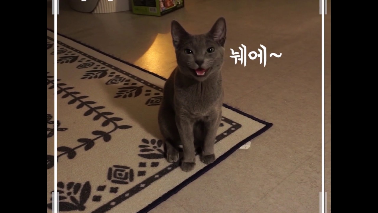 [제품 영상]