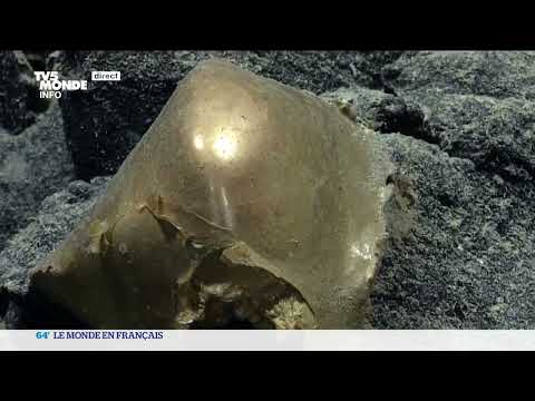 Un trouvaille mystérieuse étonne les chercheurs américains