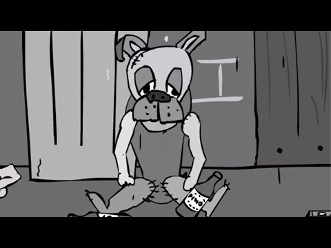 MIŚ PUSH-UPEK - PIES NIE DAJE RADY