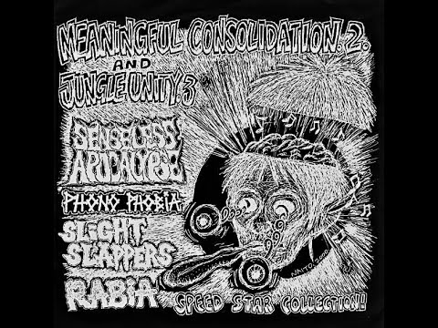 SLIGHT SLAPPERS / Tracks from ' Meaningful Consolidation 2 / Jungle Unity 3 ' 4way 7" (2000)