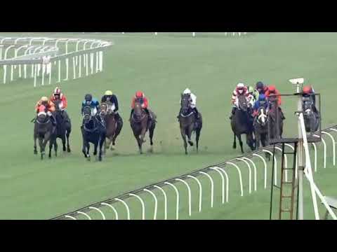 TROPIC SUN - 2021 Sycamore Sprint (Gr3) Turffontein