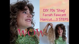 DIY 70s 80s Shag Farrah Fawcett Long Ladies Womens Big Hair Haircut