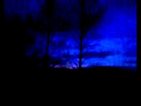 Sounds of the whooper swans in the darkness! - Laulujoutsenten ääntelyä pimeydessä!