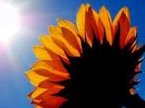 "Silverwind"Taking the narrow street