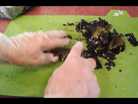 The Best Ways To Prep Roasted Green Chiles