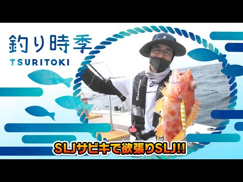SLJサビキで欲張りSLJ‼︎（釣り時季/2021年8月8日放送）