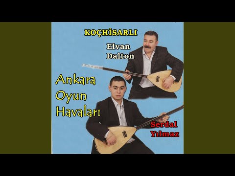 Benim Adım Elvan Dalton