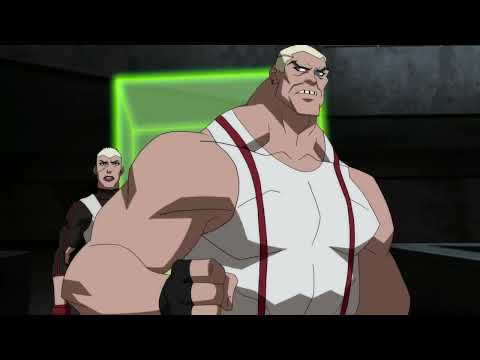 The Team Vs The Light Lieutenants (Season 1 & 2) - Young Justice Fights - Super Hero Fights