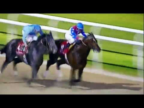 2015 Dubai World Cup TV Commercial